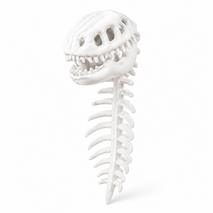 Kids’ Plush Dinosaur Skeleton Halloween Costume