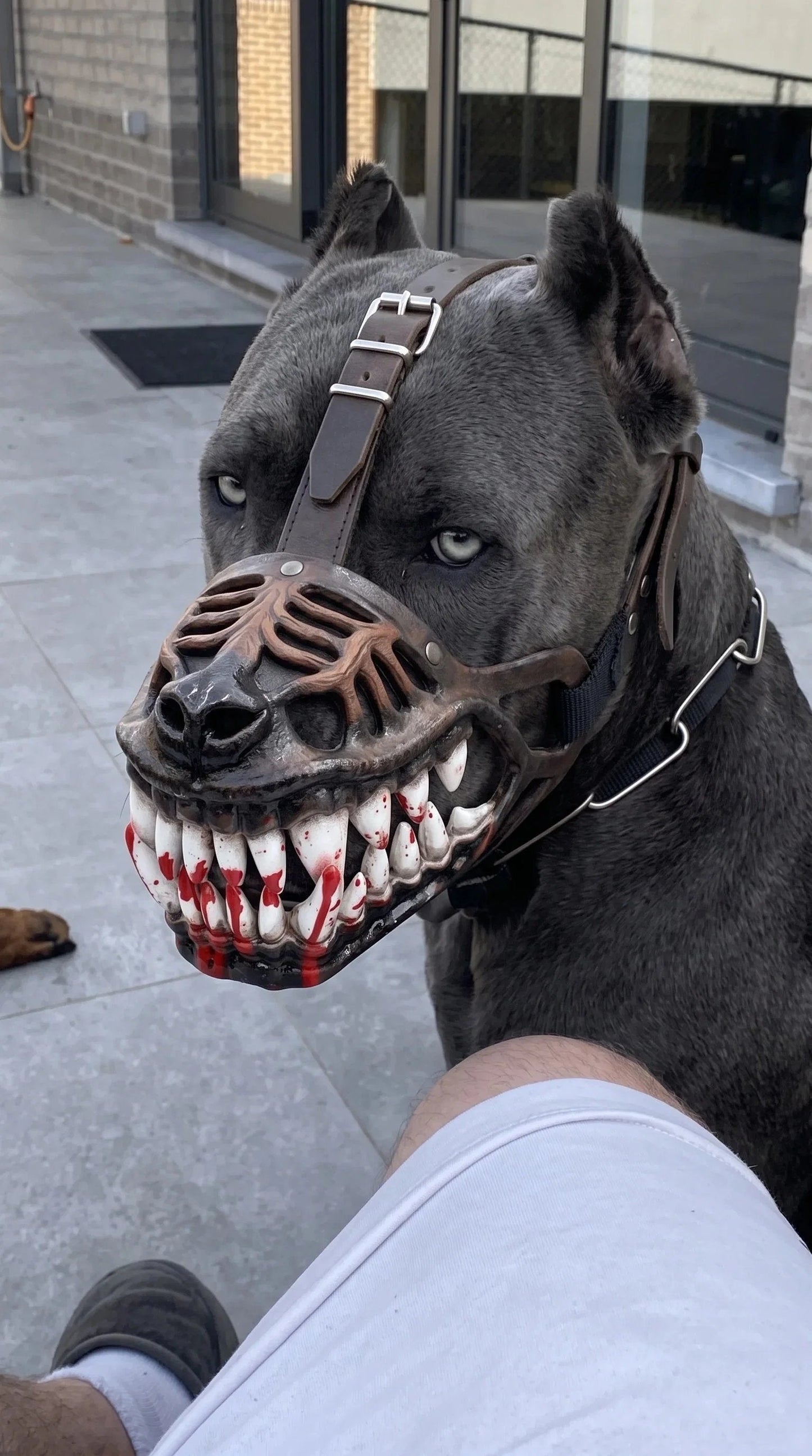 🐶Hell Hound Monster Muzzle