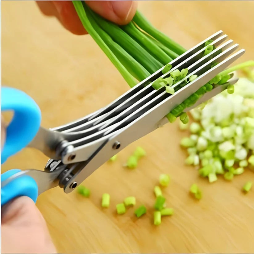 Stainless Steel 5-Blade Herb Scissors with Cleaning Comb