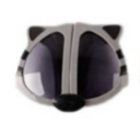 Gray Raccoon